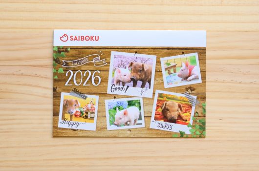 SAIBOKU様「2026年カレンダー」